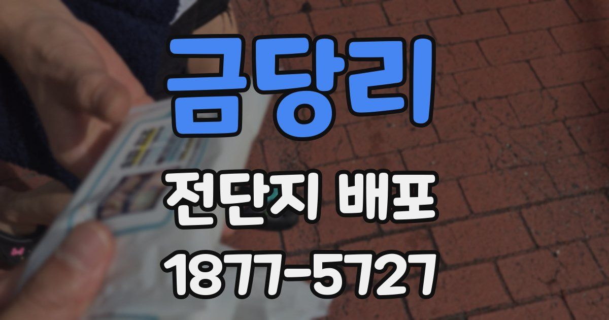 금당리 전단지 배포