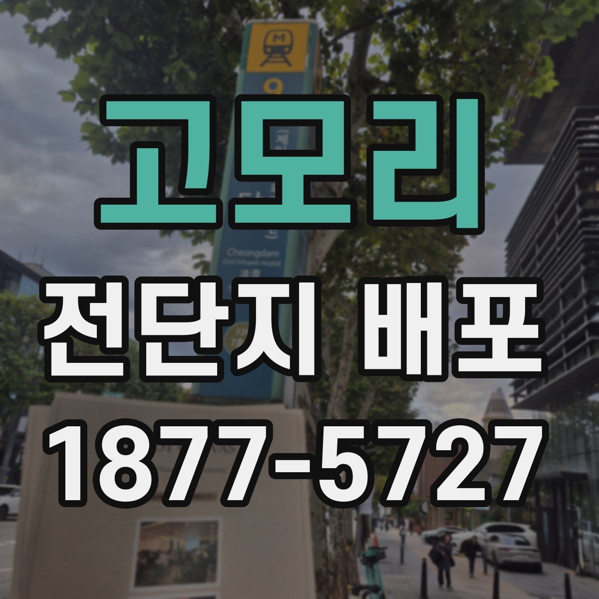 고모리 전단지 배포