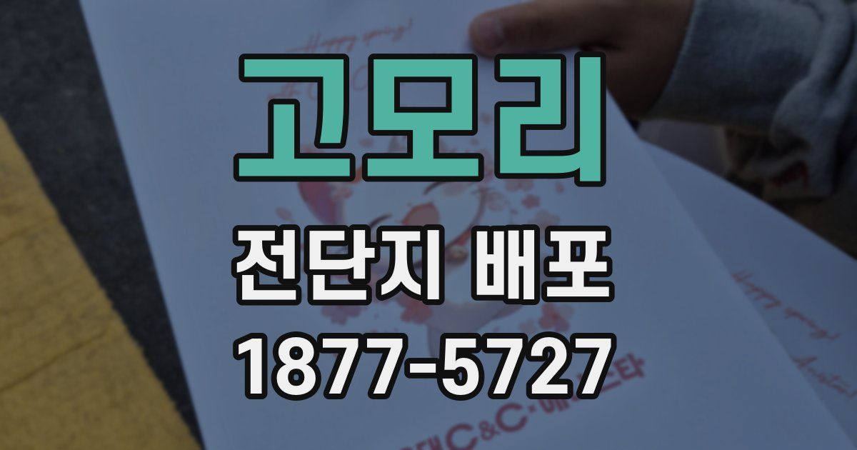 고모리 전단지 배포