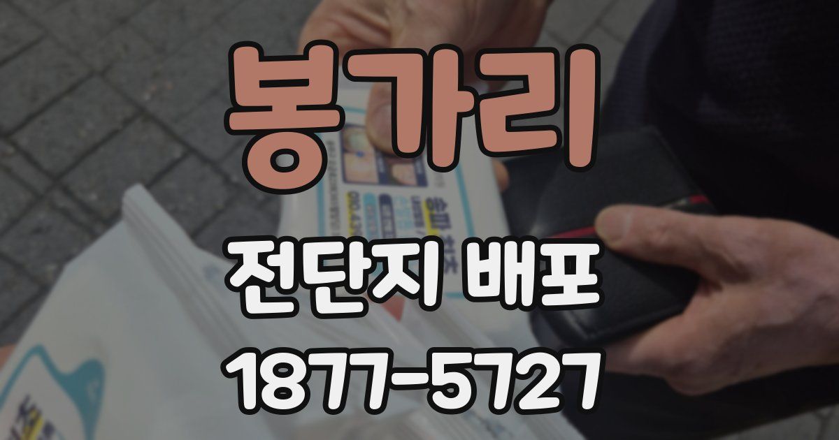 봉가리 전단지 배포
