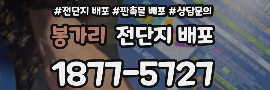 봉가리 전단지 배포