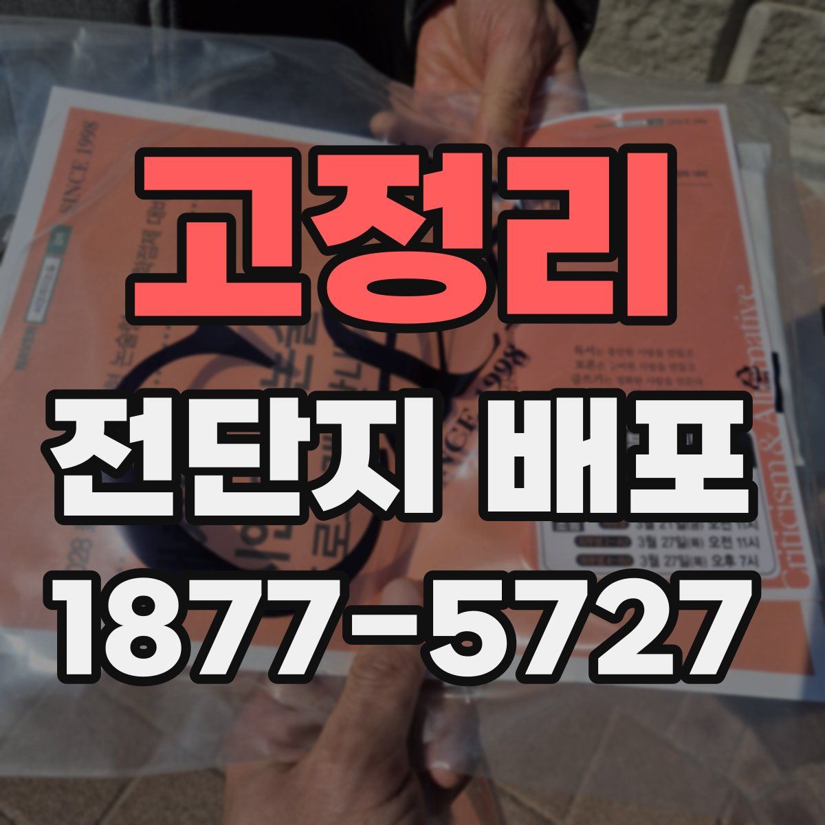 고정리 전단지 배포