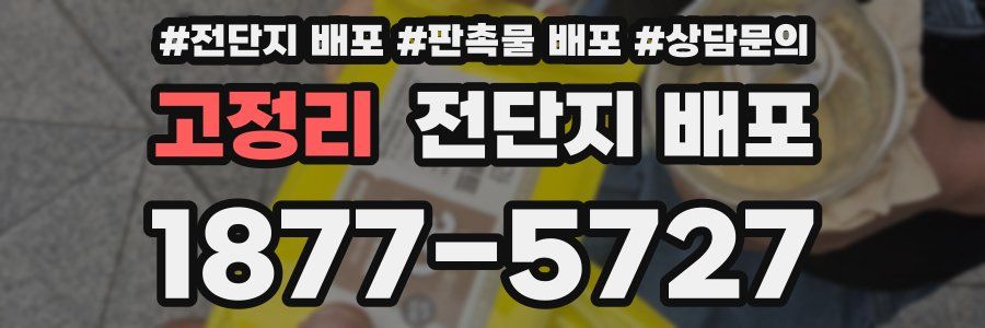 고정리 전단지 배포