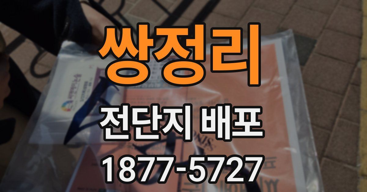 쌍정리 전단지 배포