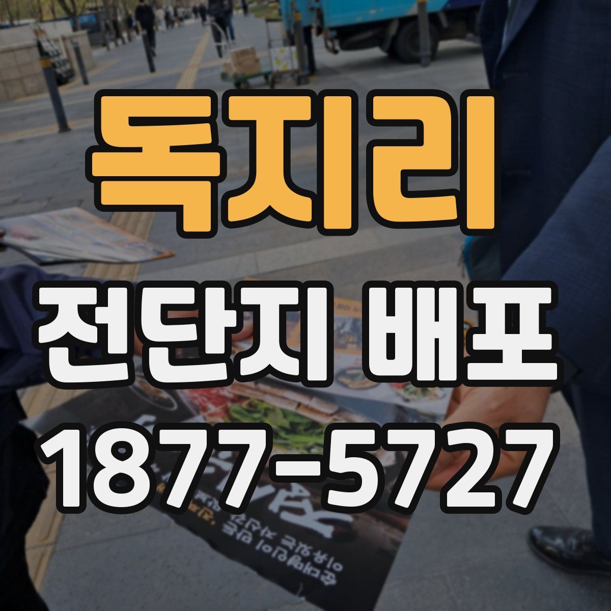 독지리 전단지 배포