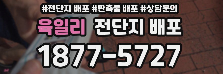 육일리 전단지 배포