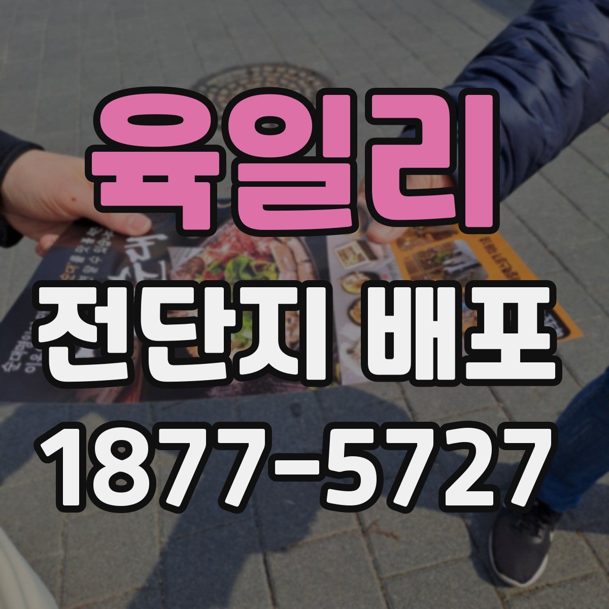 육일리 전단지 배포