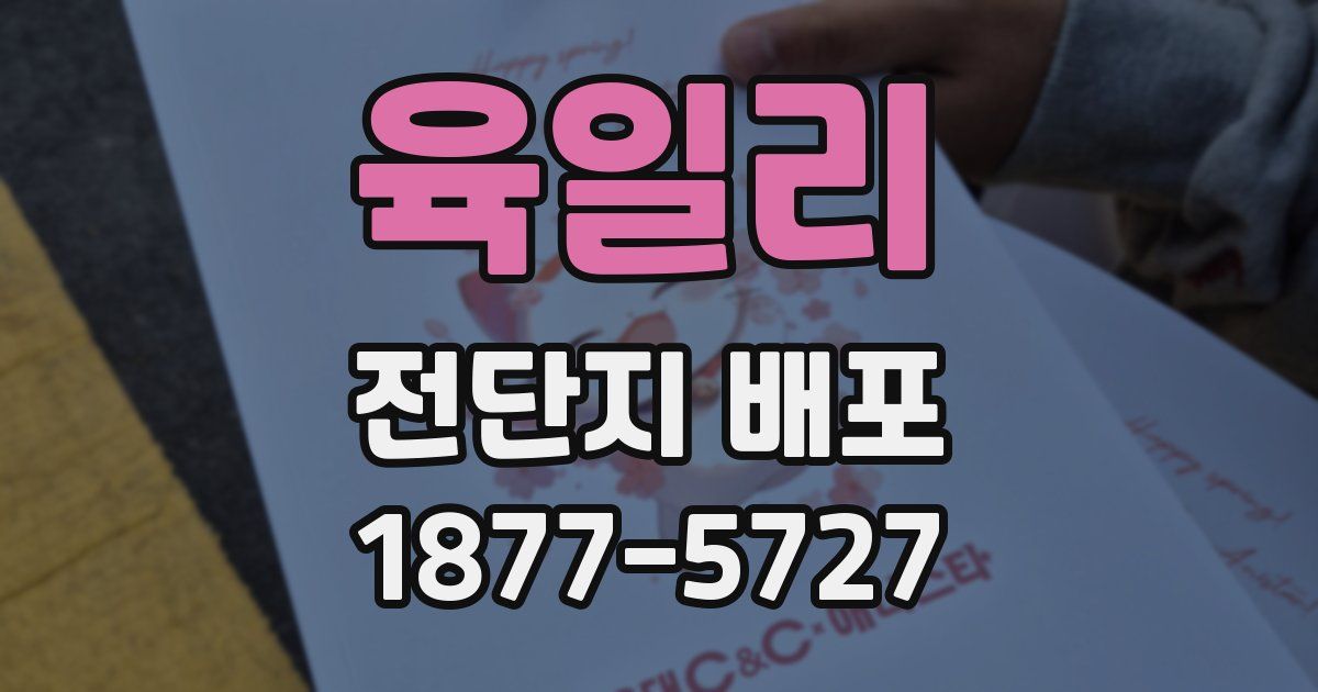 육일리 전단지 배포