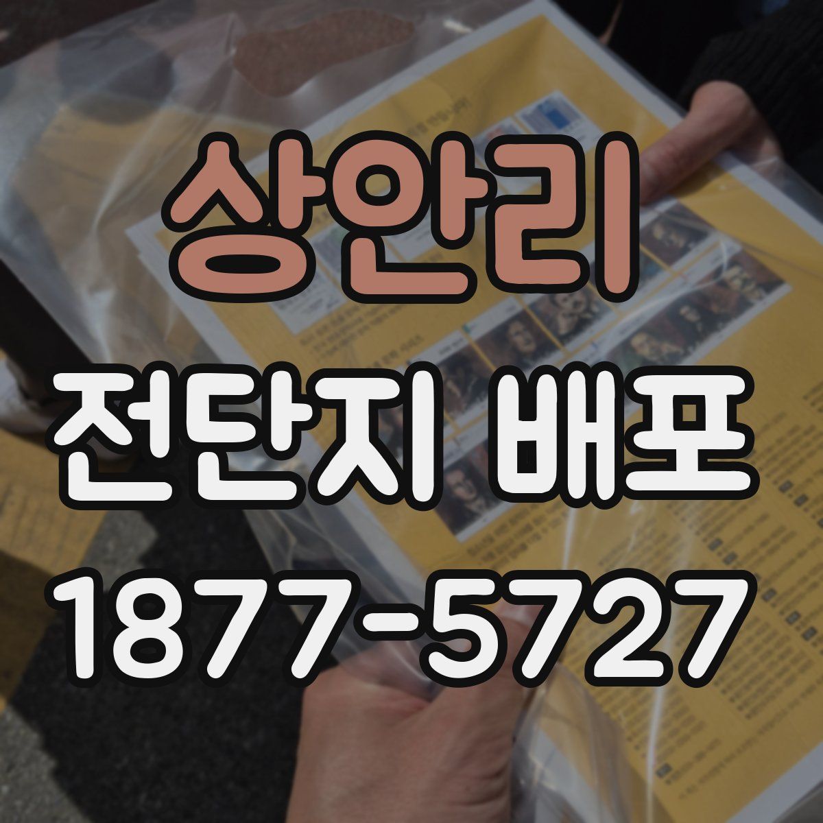 상안리 전단지 배포