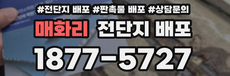 매화리 전단지 배포