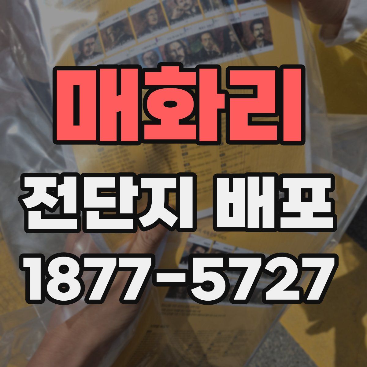 매화리 전단지 배포