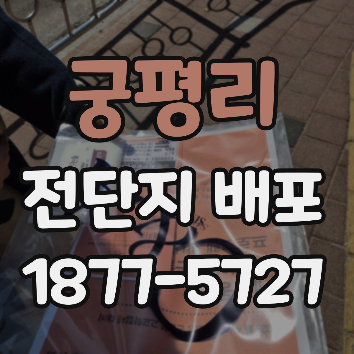 궁평리 전단지 배포