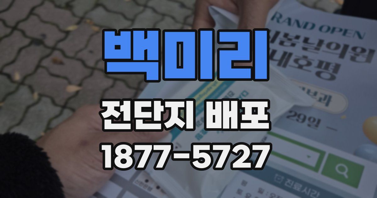 백미리 전단지 배포