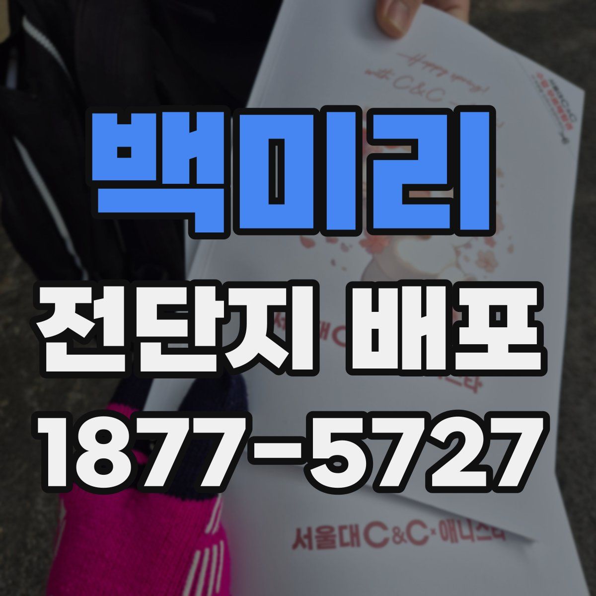 백미리 전단지 배포