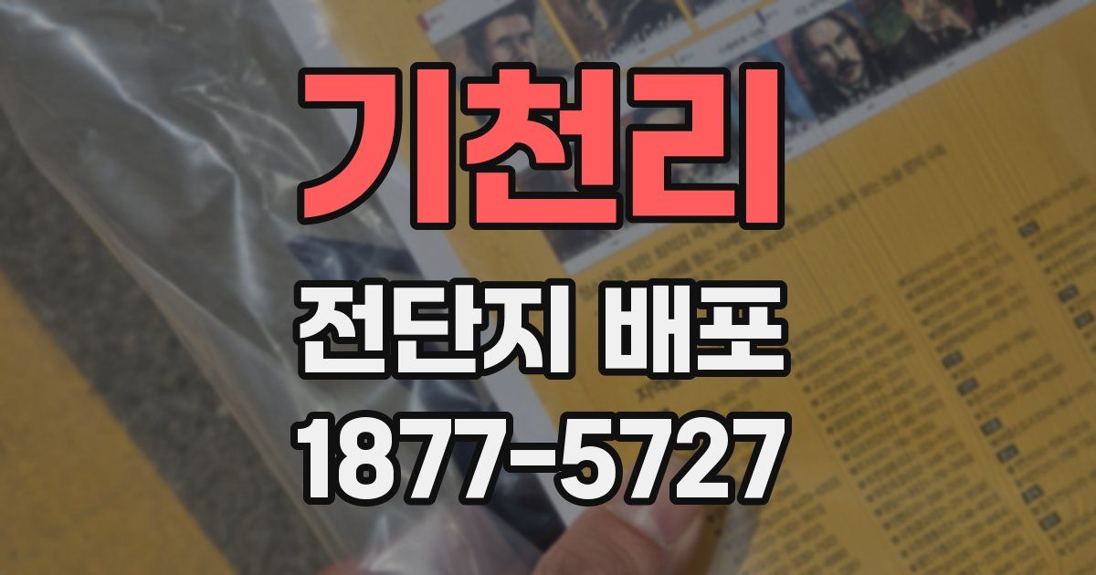 기천리 전단지 배포