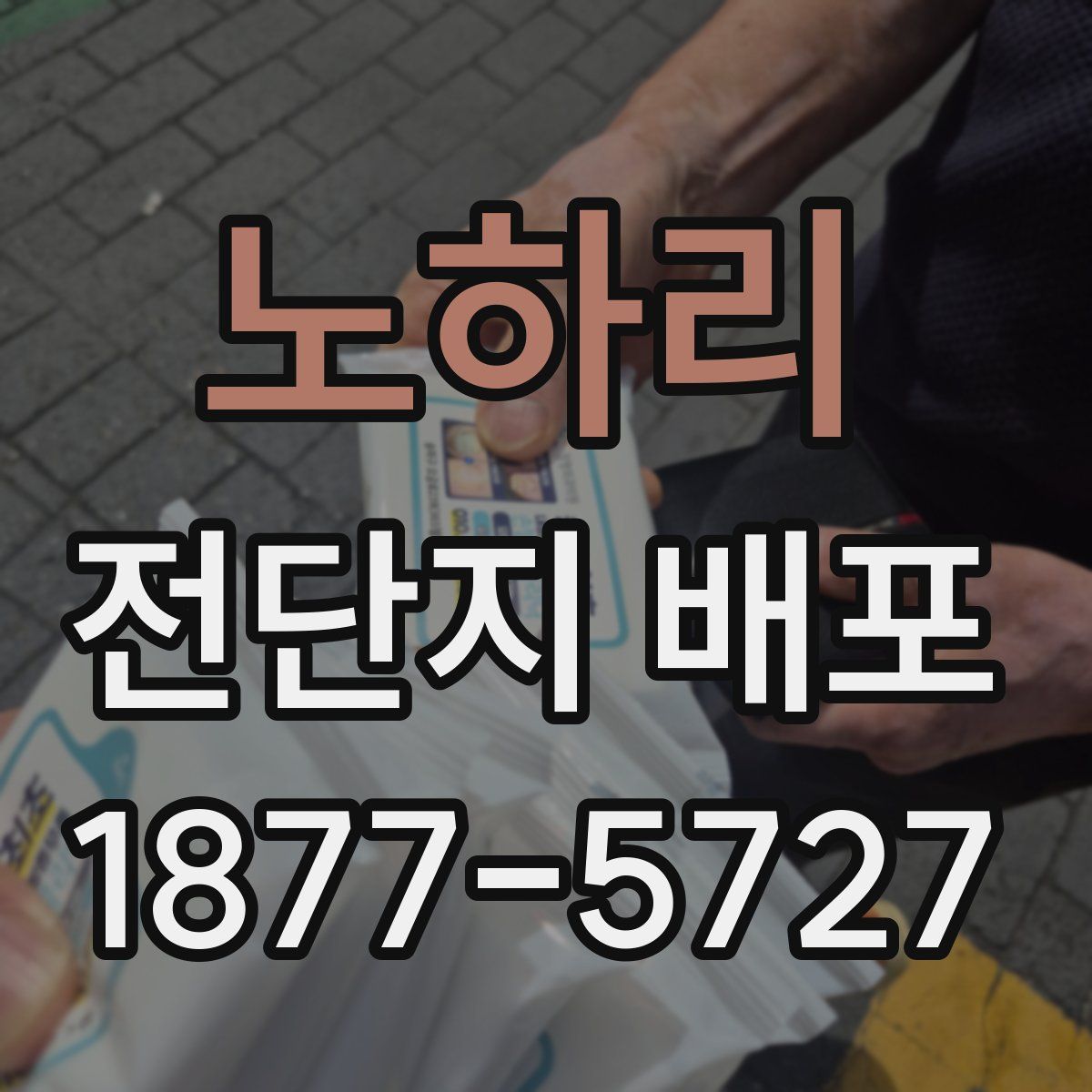 노하리 전단지 배포