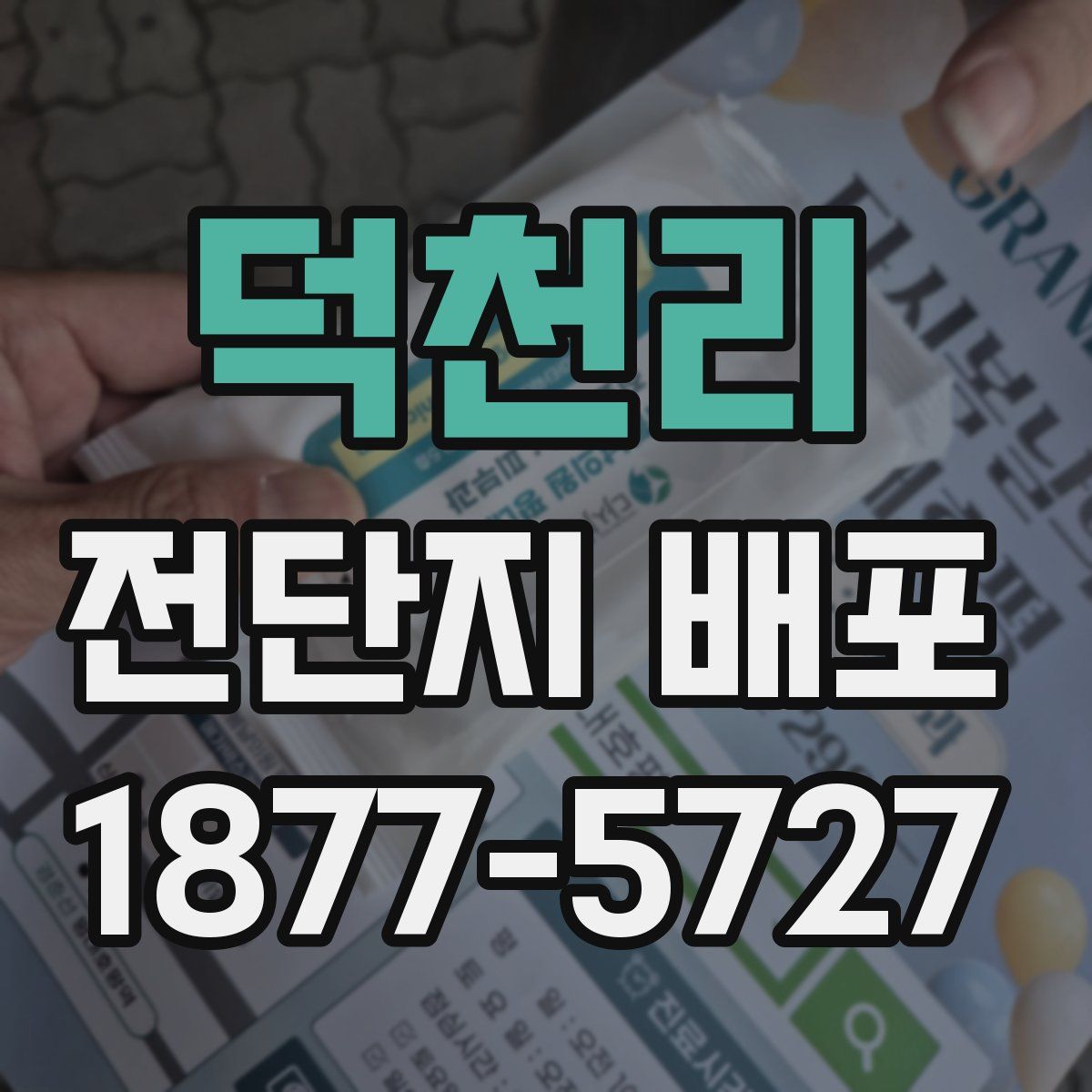 덕천리 전단지 배포