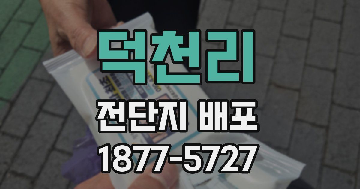 덕천리 전단지 배포
