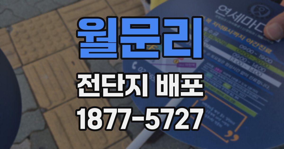 월문리 전단지 배포
