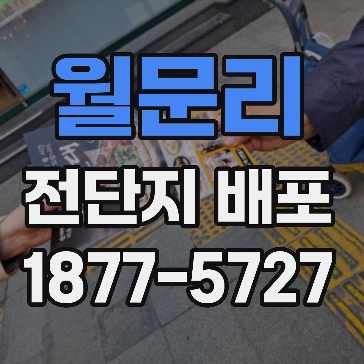 월문리 전단지 배포