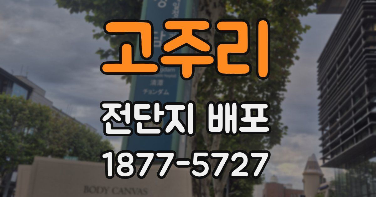 고주리 전단지 배포
