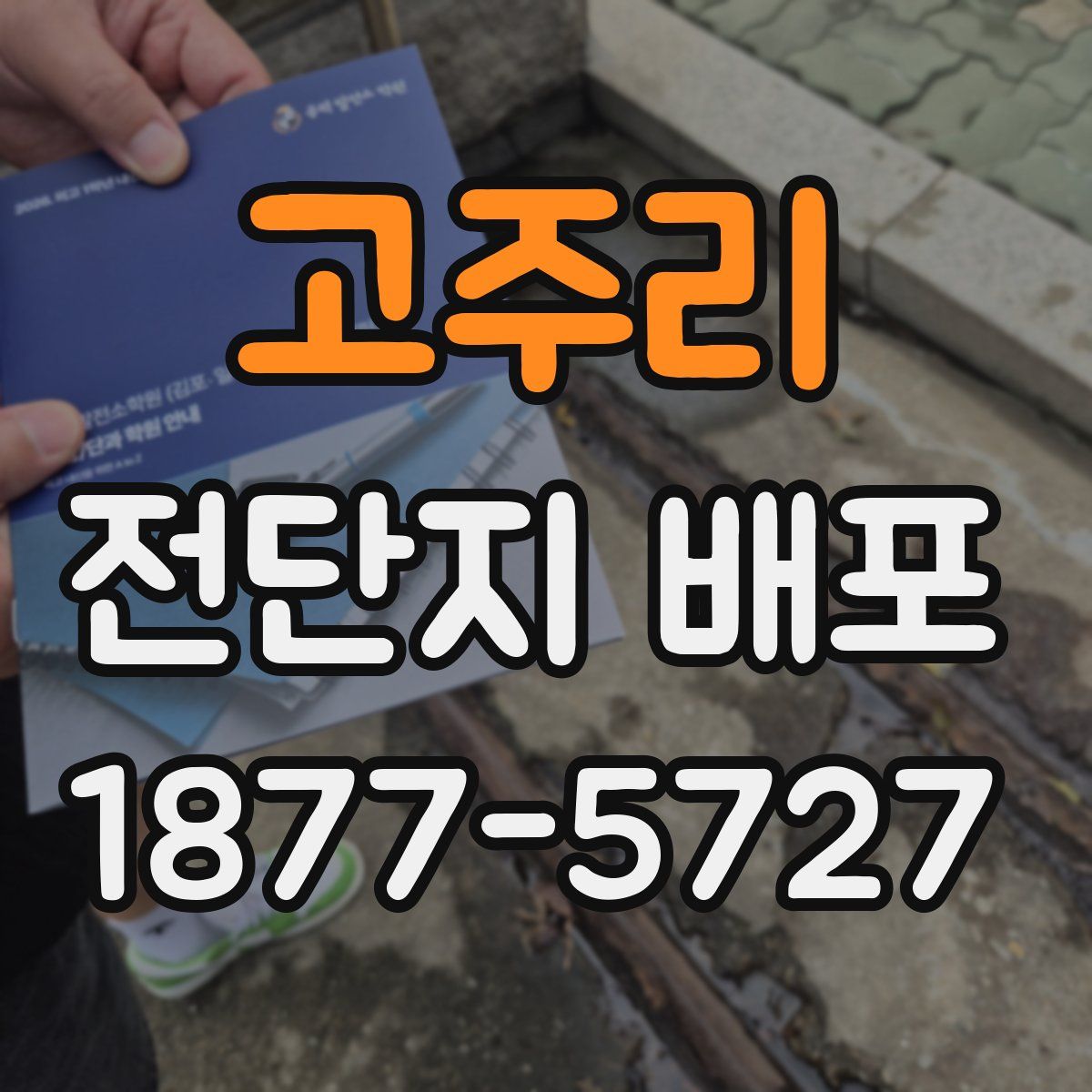 고주리 전단지 배포