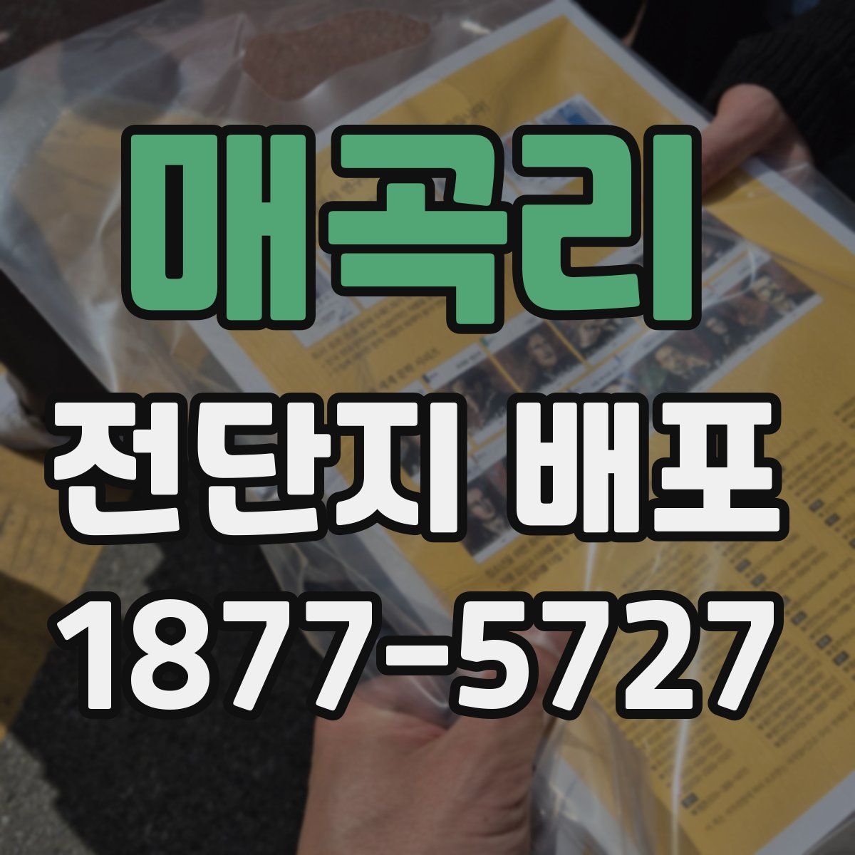 매곡리 전단지 배포