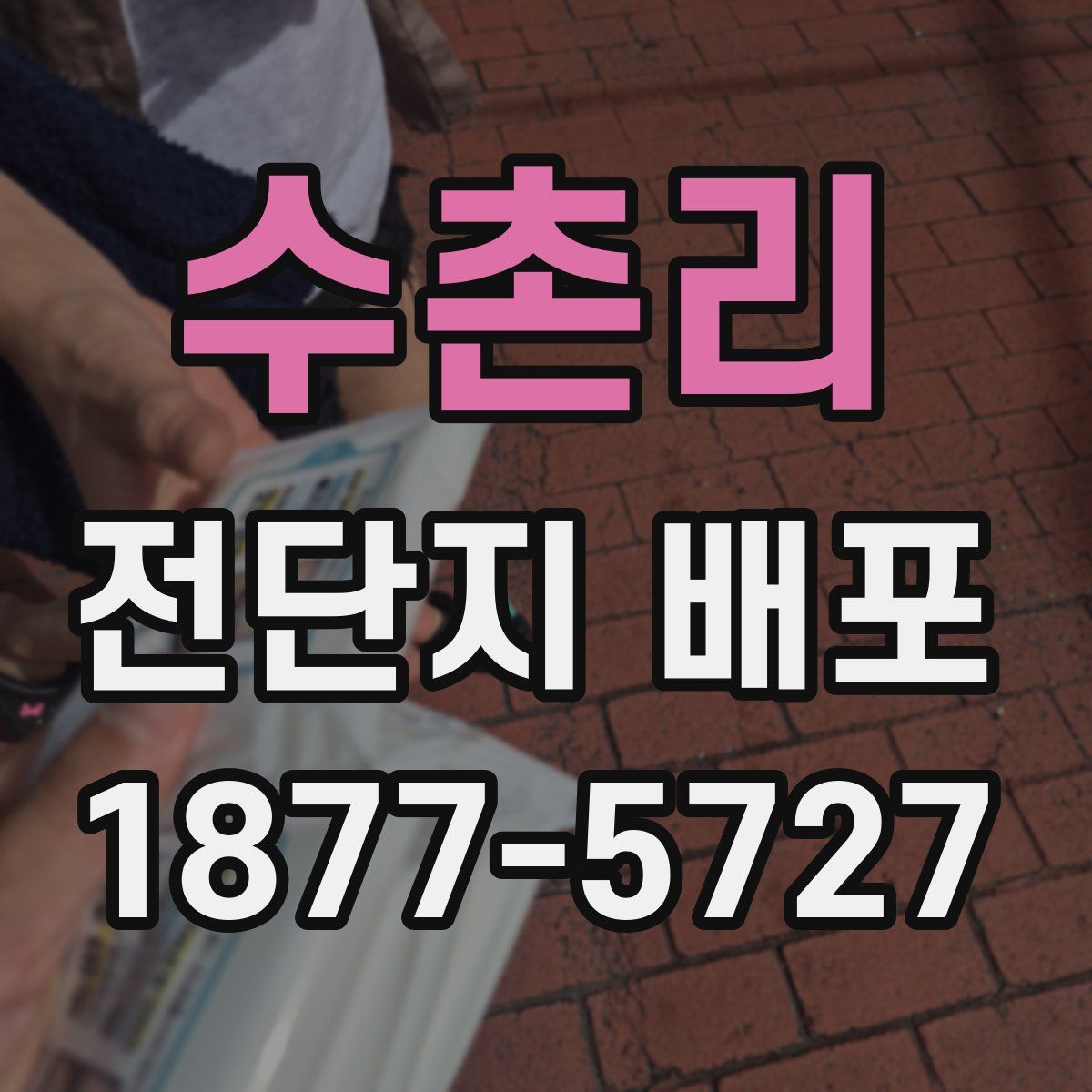 수촌리 전단지 배포
