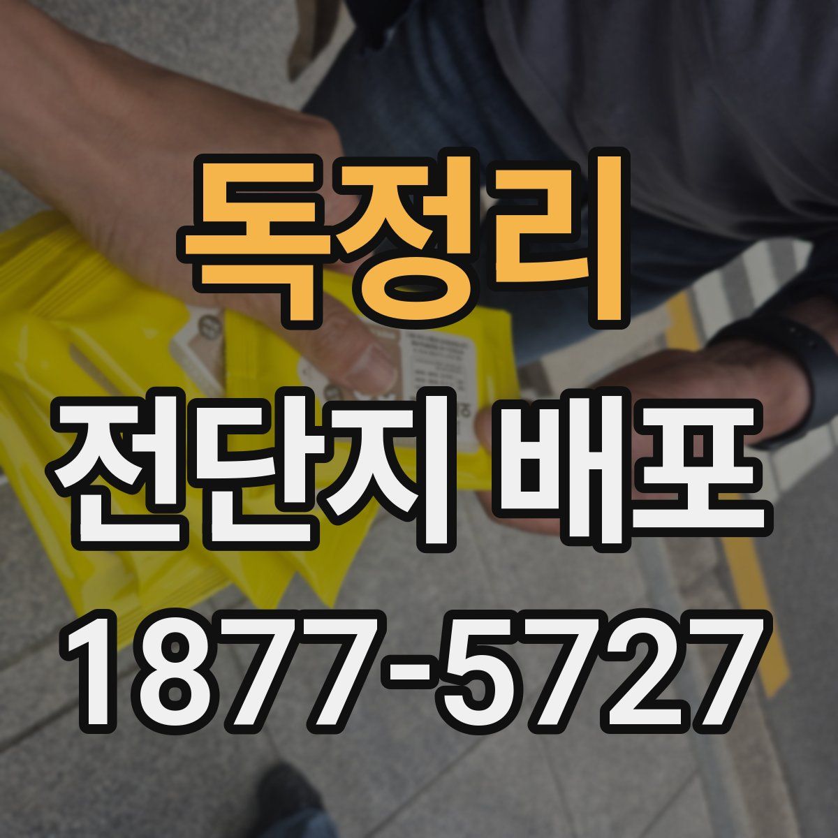 독정리 전단지 배포
