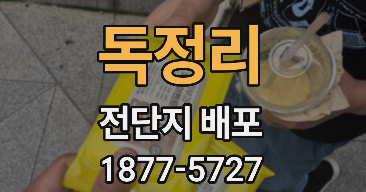 독정리 전단지 배포