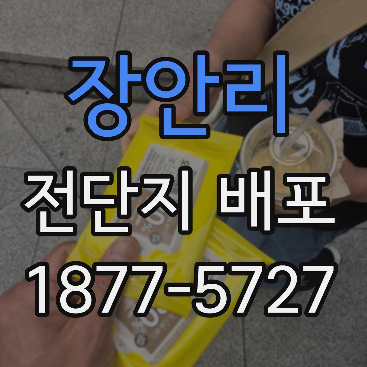 장안리 전단지 배포