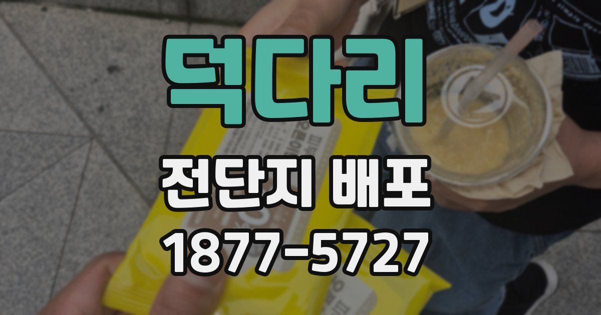 덕다리 전단지 배포