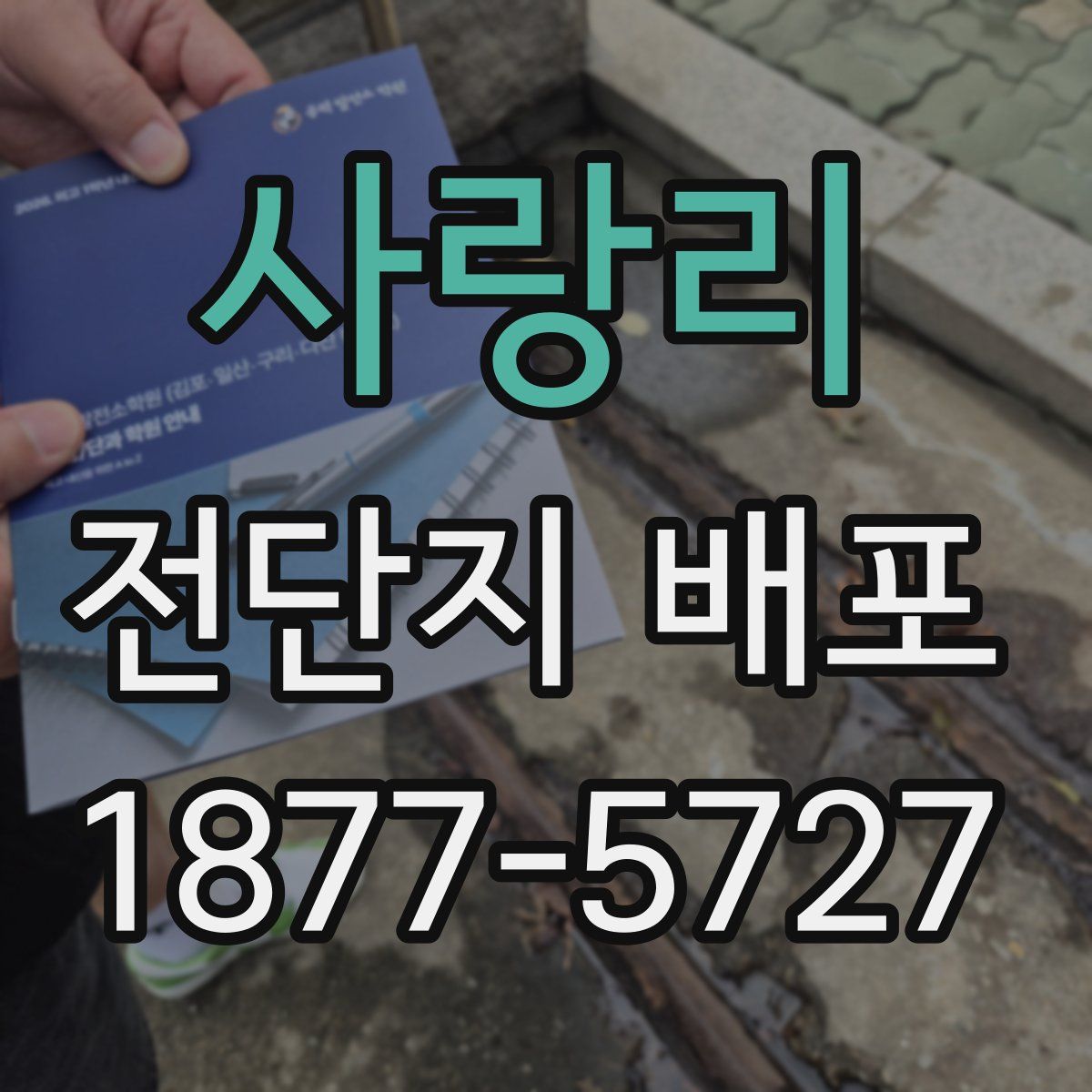 사랑리 전단지 배포