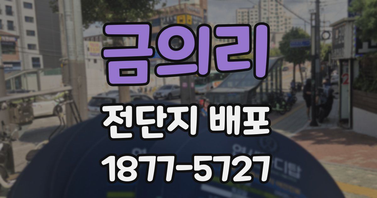 금의리 전단지 배포