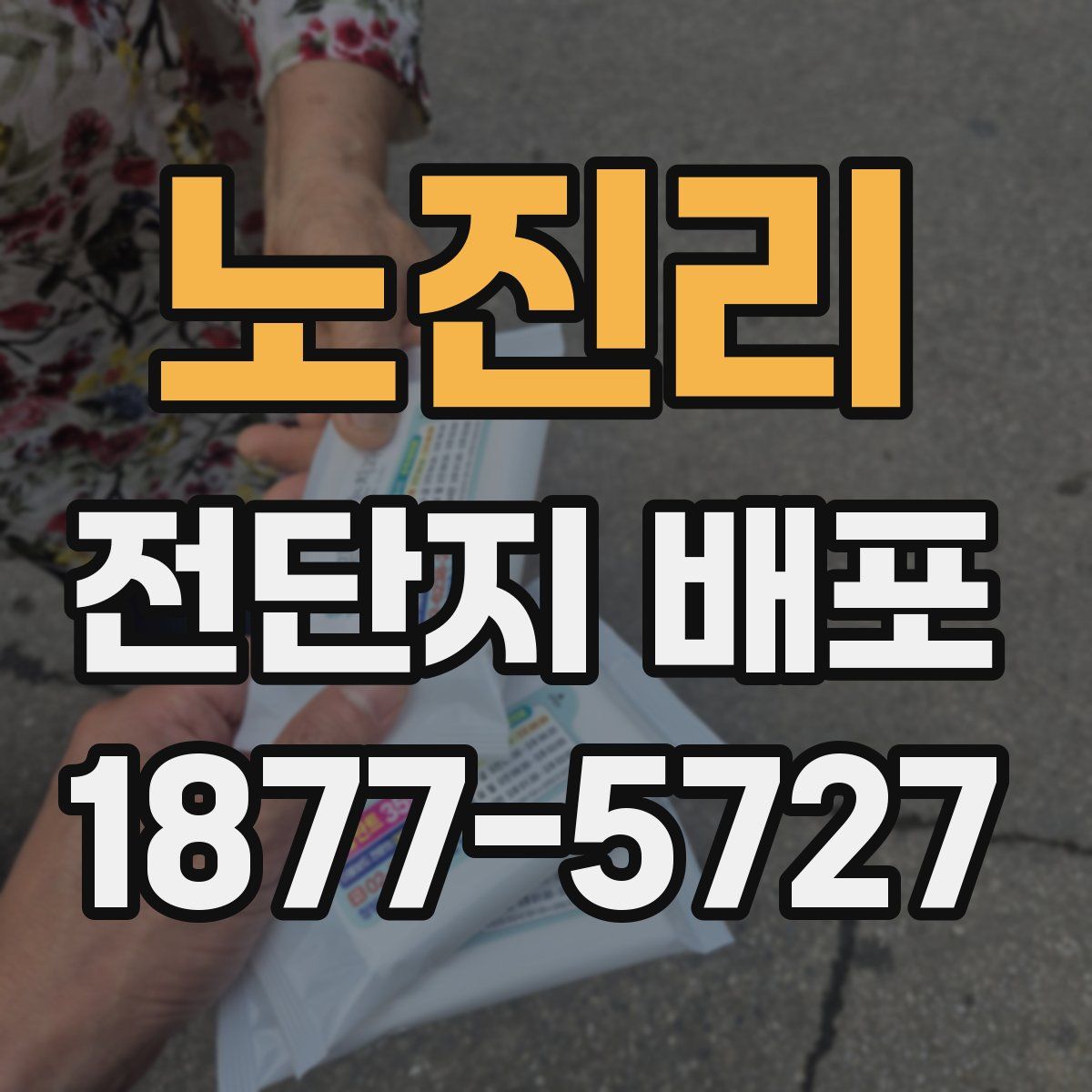 노진리 전단지 배포