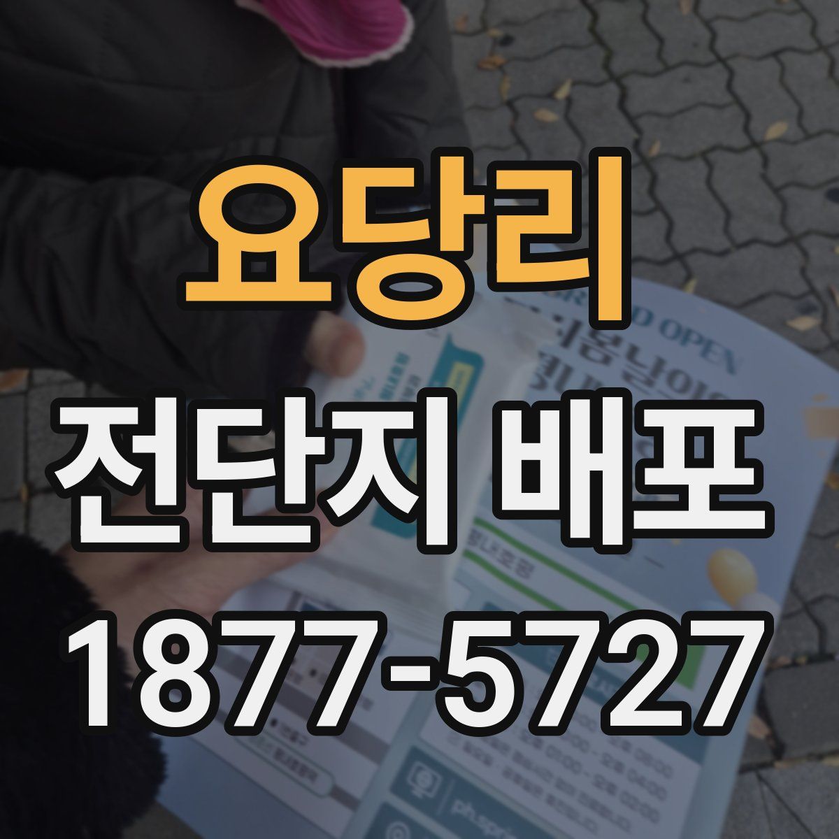 요당리 전단지 배포