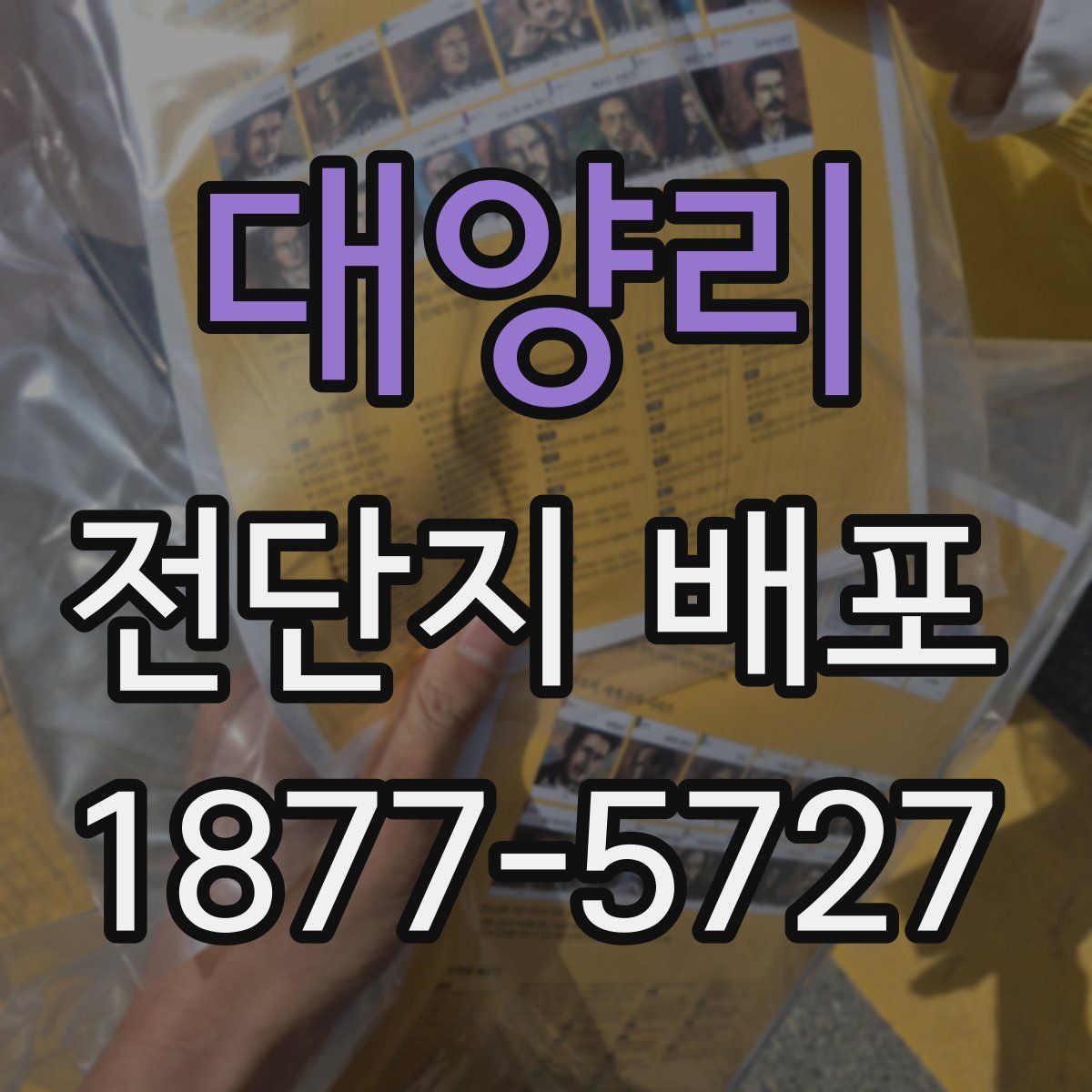 대양리 전단지 배포