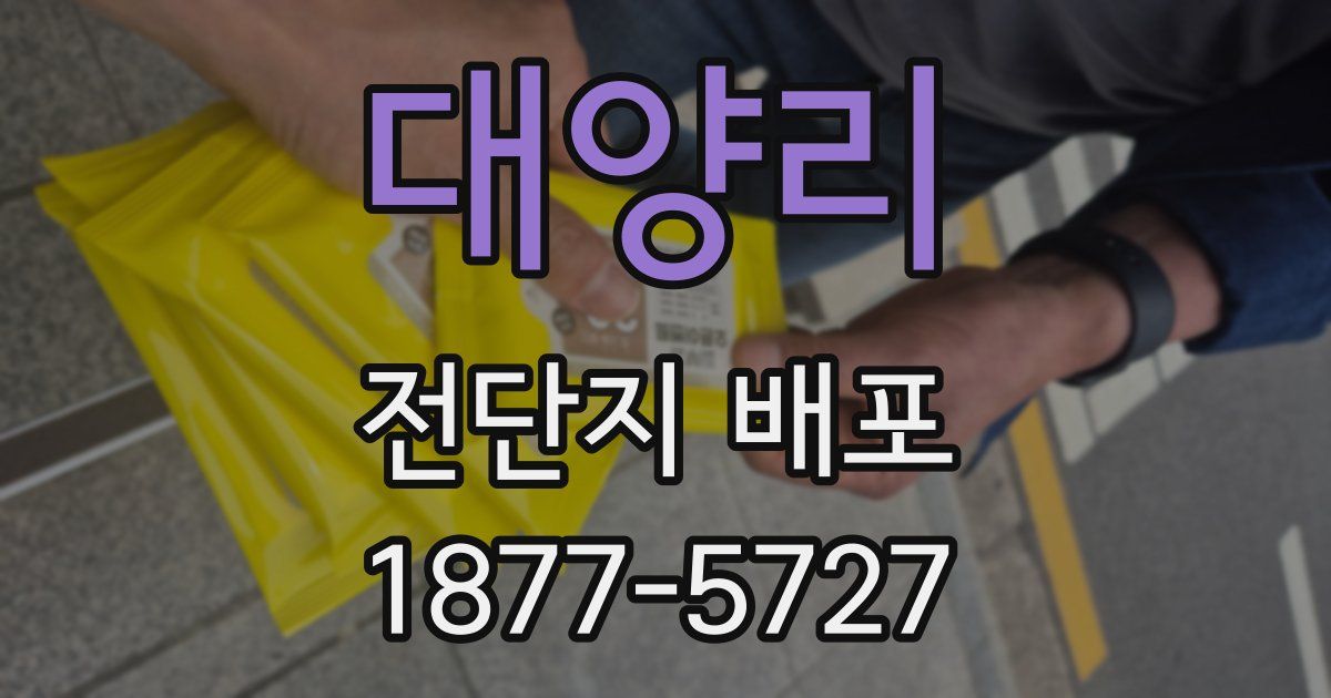 대양리 전단지 배포