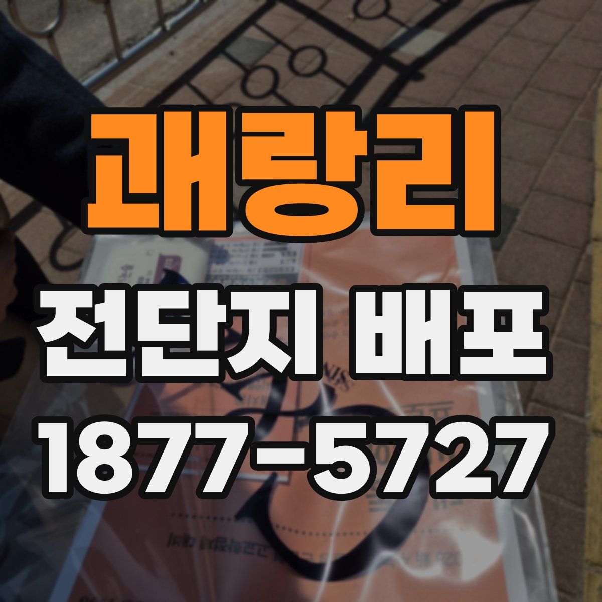 괘랑리 전단지 배포