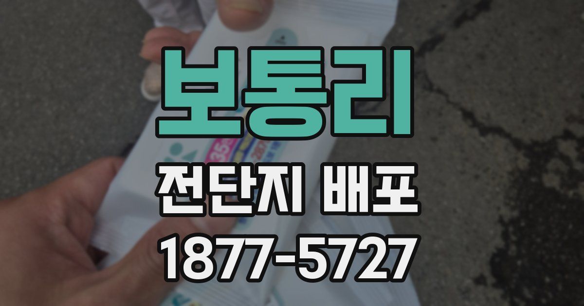 보통리 전단지 배포
