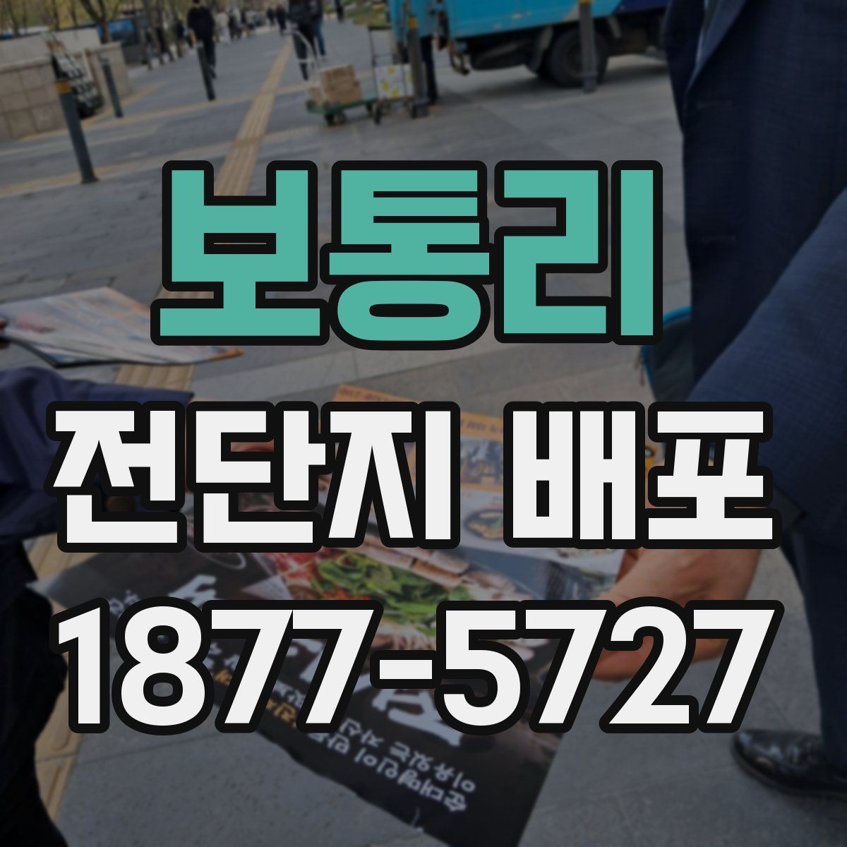 보통리 전단지 배포