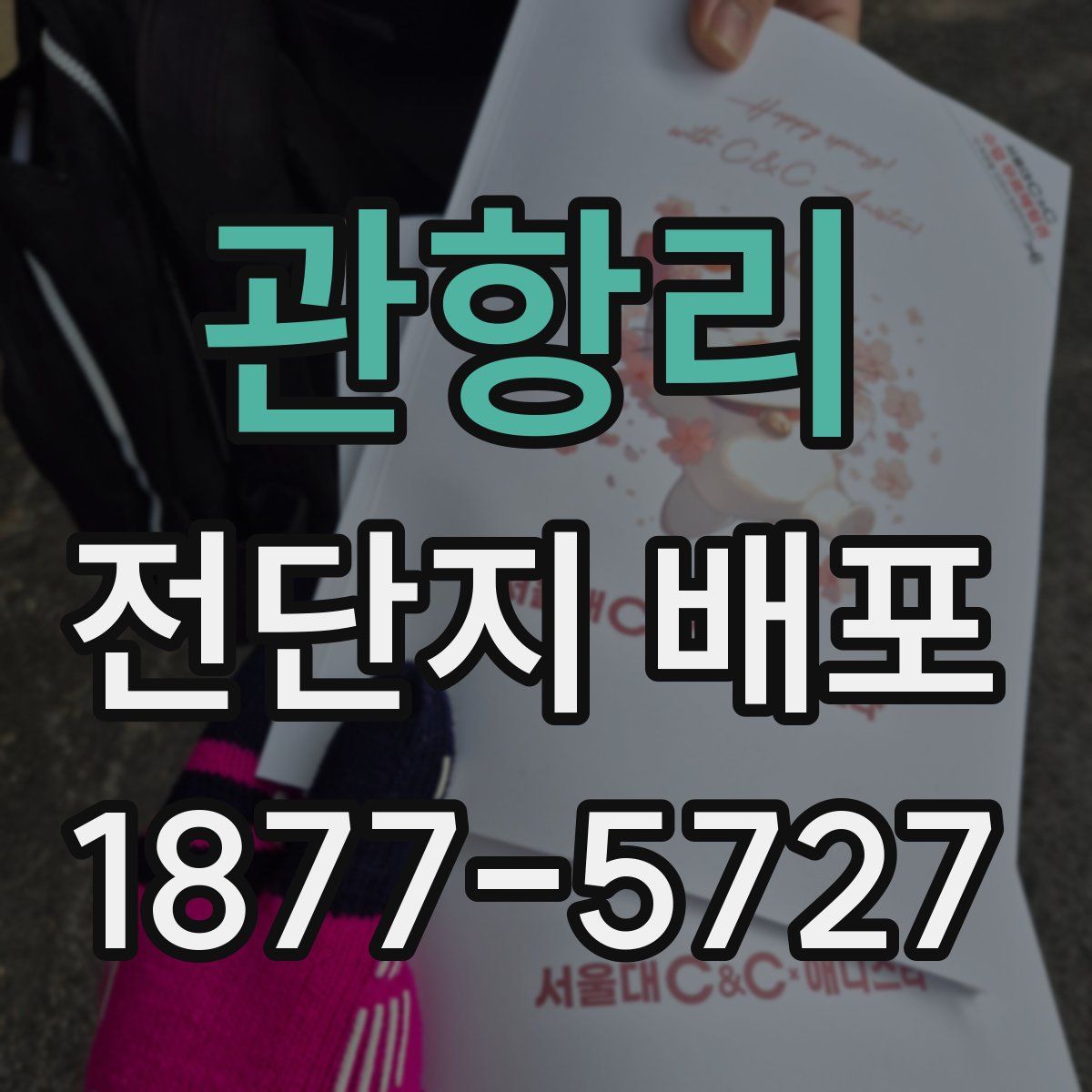 관항리 전단지 배포