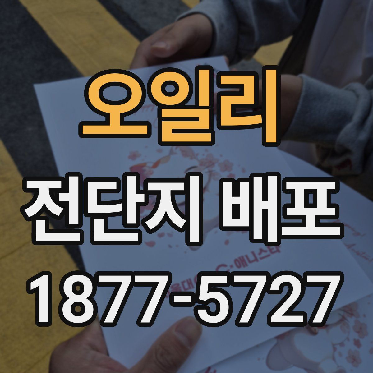 오일리 전단지 배포