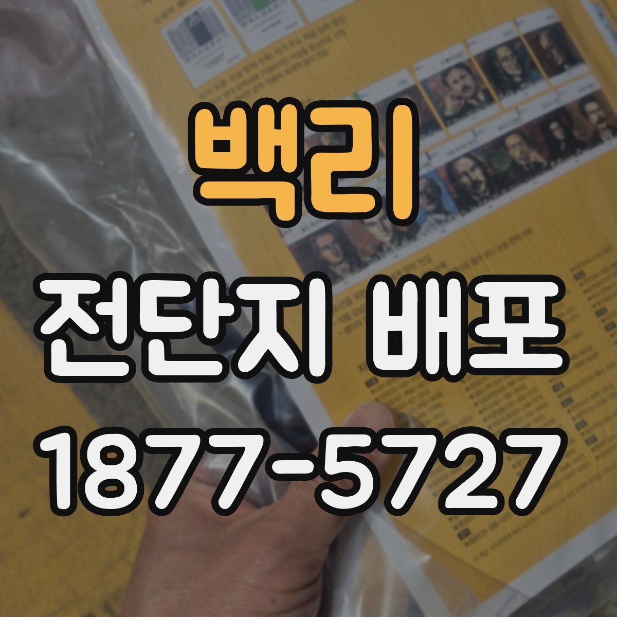 백리 전단지 배포