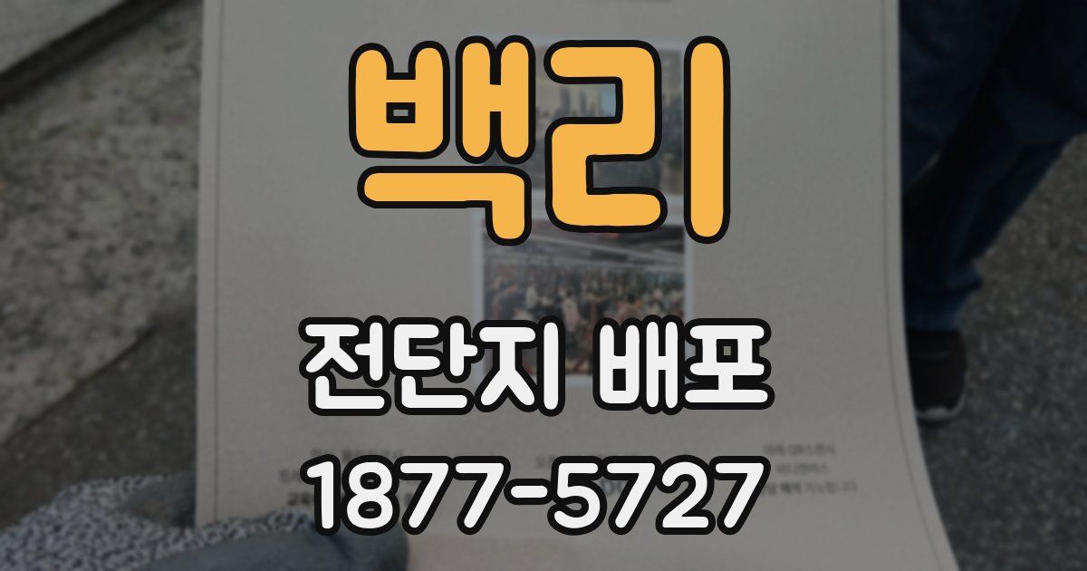 백리 전단지 배포