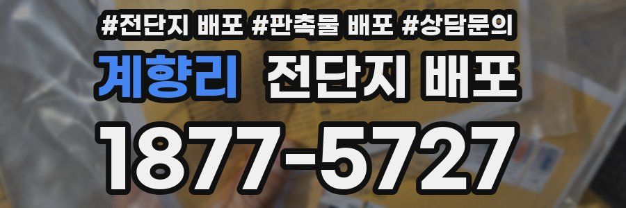 계향리 전단지 배포
