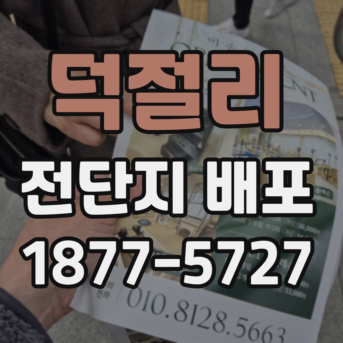 덕절리 전단지 배포