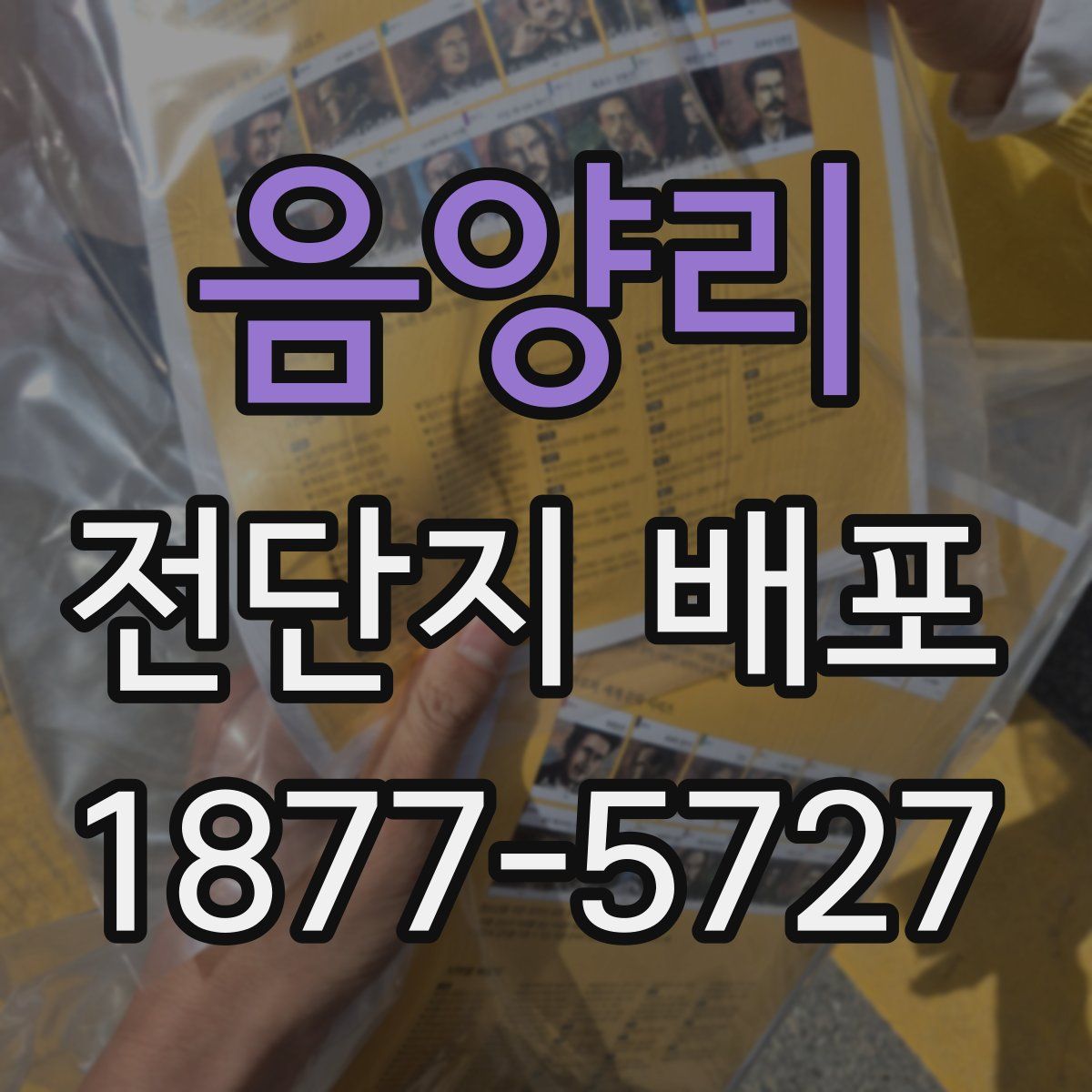 음양리 전단지 배포