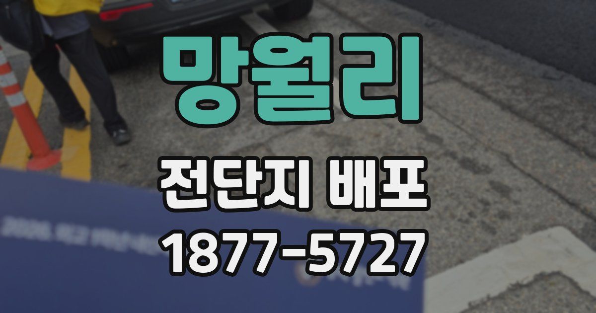 망월리 전단지 배포