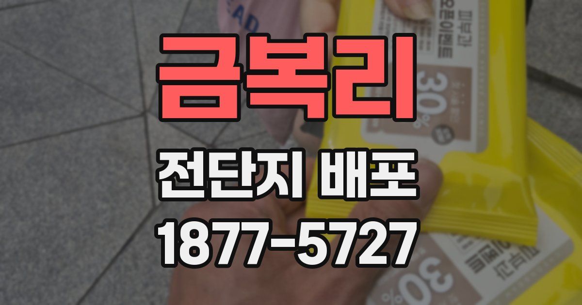 금복리 전단지 배포